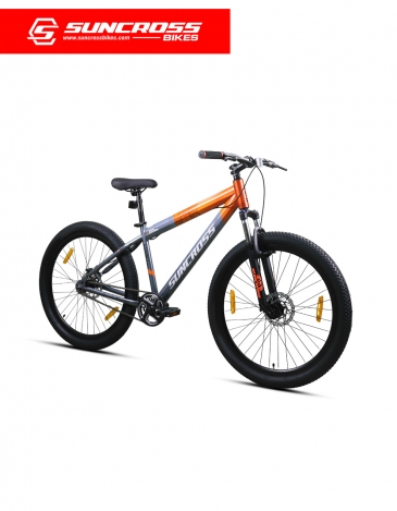 suncross strance single speed bicycle